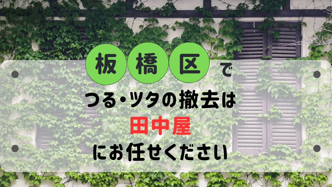 除草、庭木の剪定、不用品の処分などお困りごと何でもご相談ください 